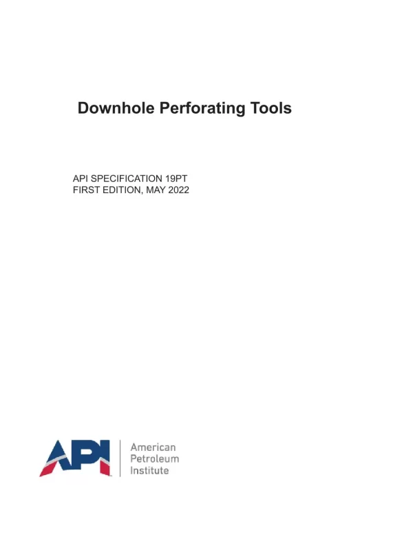 API SPEC 19PT pdf